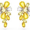 Swarovski Gema Orecchini Cristalli Gialli Donna Gioielli
