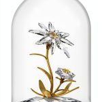 Immagine prodotto successivo